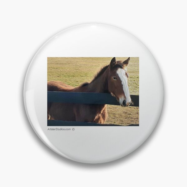 Item preview, Horse scratching chin on fence. designed and sold by ArtstarStudios.