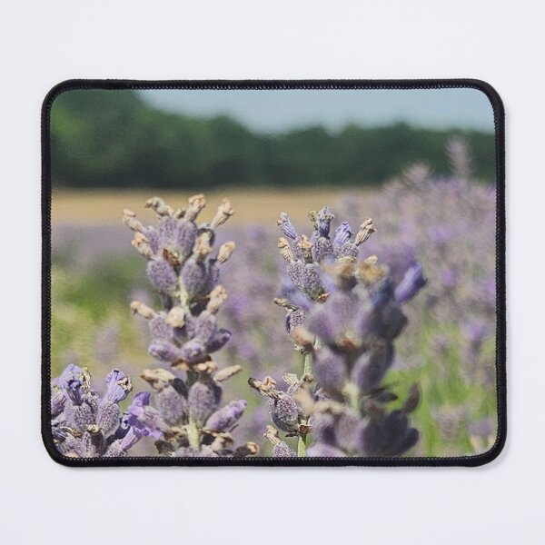 Item preview, Lavender Plant designed and sold by MinaBohl.