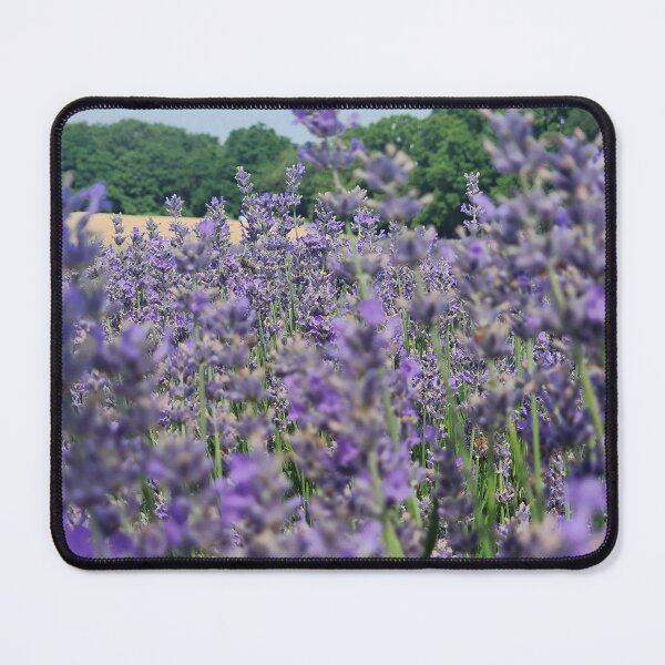 Item preview, Bunch of Lavender designed and sold by MinaBohl.