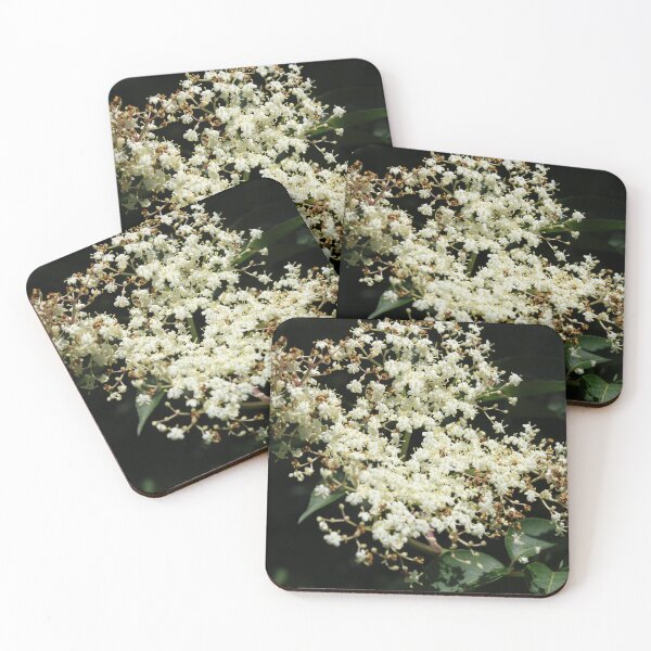 Item preview, Elderflower  designed and sold by McFleur's Lens.