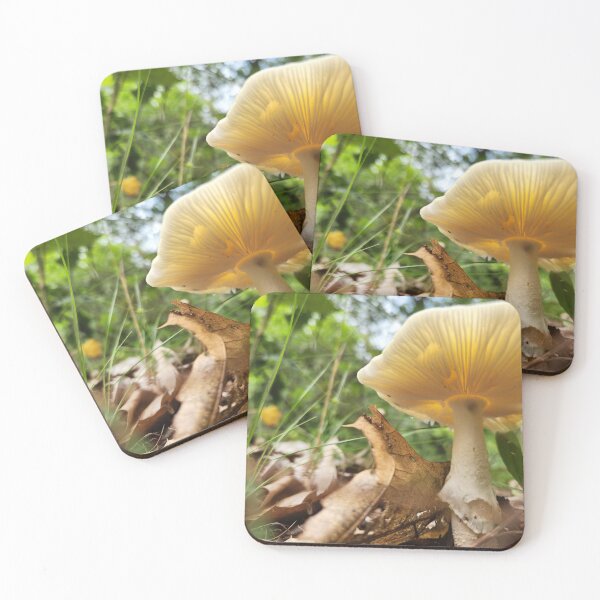 Item preview, Underside of a Mushroom designed and sold by MinaBohl.