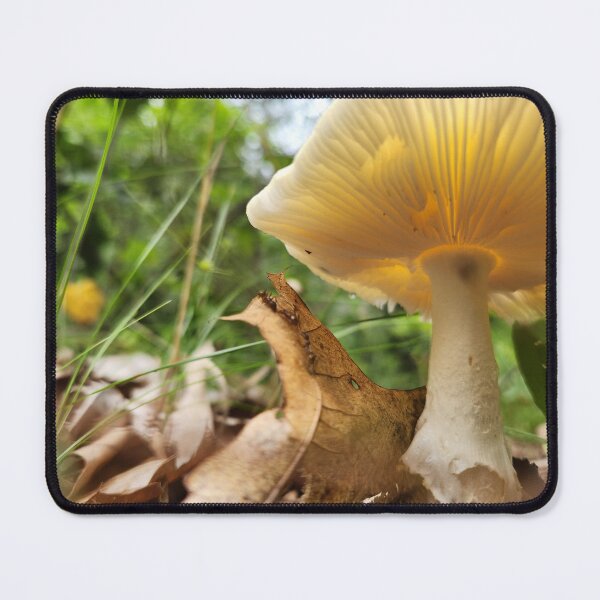 Item preview, Underside of a Mushroom designed and sold by MinaBohl.
