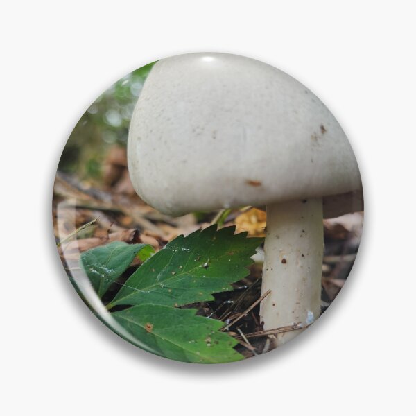 Item preview, Large White Mushroom designed and sold by MinaBohl.