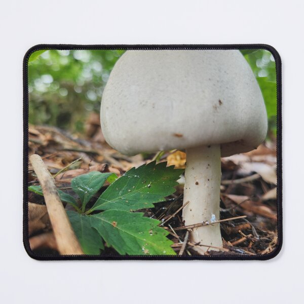 Item preview, Large White Mushroom designed and sold by MinaBohl.