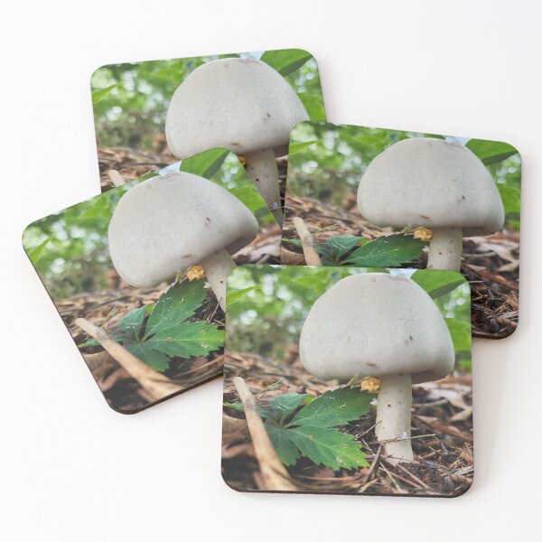 Item preview, Large White Mushroom designed and sold by MinaBohl.
