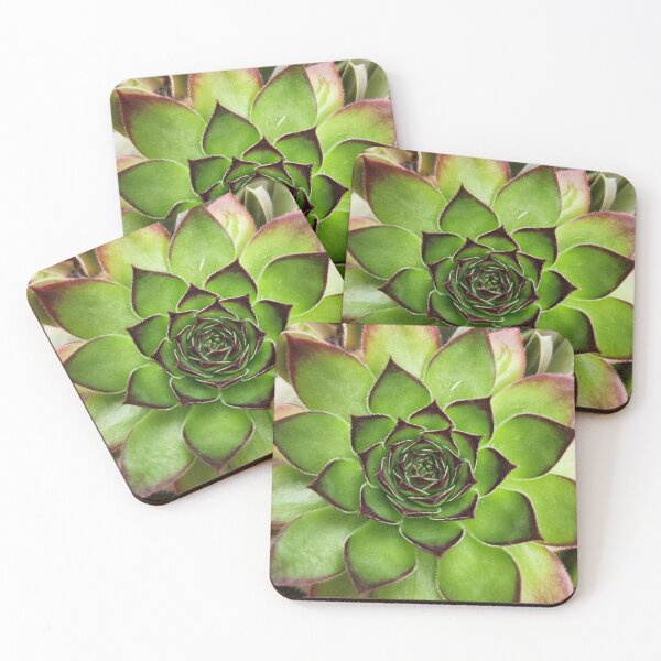 Item preview, Close-up of a Succulent designed and sold by MinaBohl.