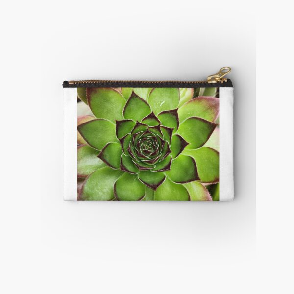 Item preview, Close-up of a Succulent designed and sold by MinaBohl.