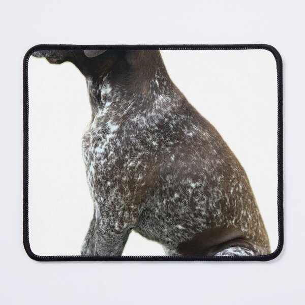 Item preview, K11 designed and sold by AKGT.