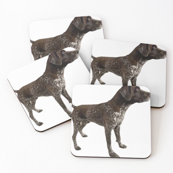 Item preview, K12 designed and sold by AKGT.