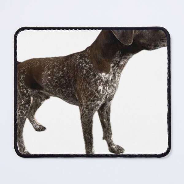 Item preview, K12 designed and sold by AKGT.
