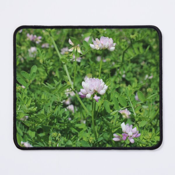 Item preview, Crownvetch  designed and sold by McFleur's Lens.