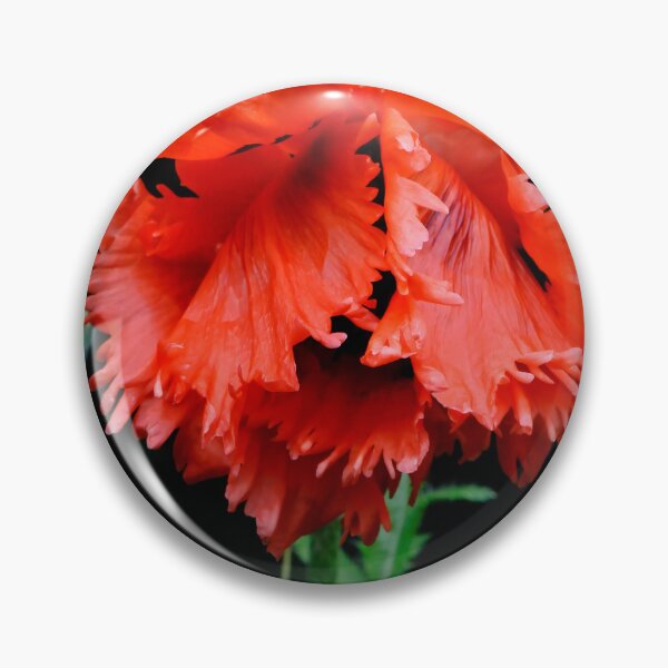 Item preview, Bashful Poppy designed and sold by Lois  Bryan.