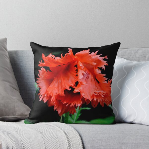 Item preview, Bashful Poppy designed and sold by Lois  Bryan.