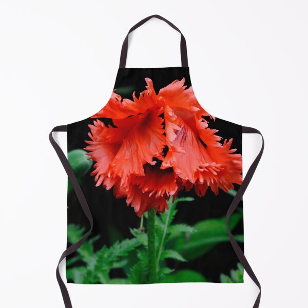 Item preview, Bashful Poppy designed and sold by Lois  Bryan.