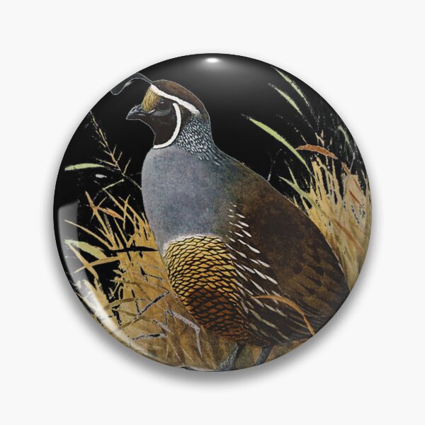 Item preview, California Quail CA designed and sold by goombi-creative.