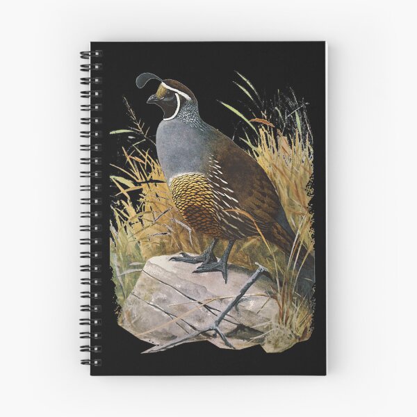 Item preview, California Quail CA designed and sold by goombi-creative.