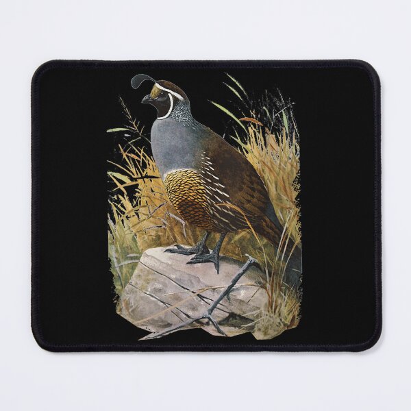 Item preview, California Quail CA designed and sold by goombi-creative.