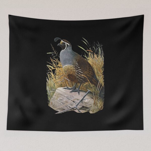 Item preview, California Quail CA designed and sold by goombi-creative.
