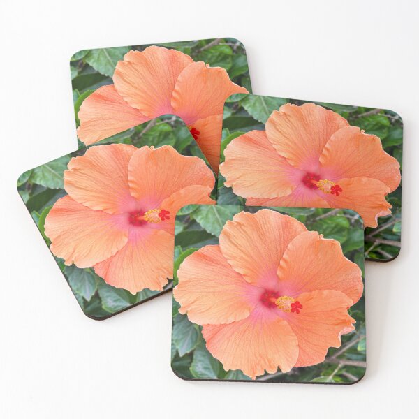 Item preview, Peach Hibiscus Flower with Vibrant Pink Centre Tropical Floral Photography designed and sold by Be Captured by Brittany Emma.