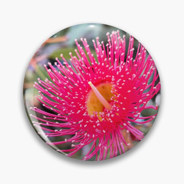 Item preview, Pink Flowering Gum Blossom Australian Native Eucalyptus Photography designed and sold by Be Captured by Brittany Emma.
