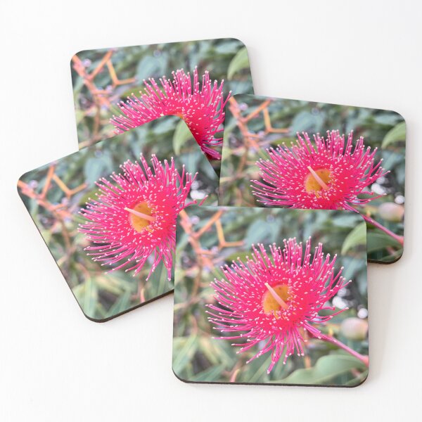 Item preview, Pink Flowering Gum Blossom Australian Native Eucalyptus Photography designed and sold by Be Captured by Brittany Emma.