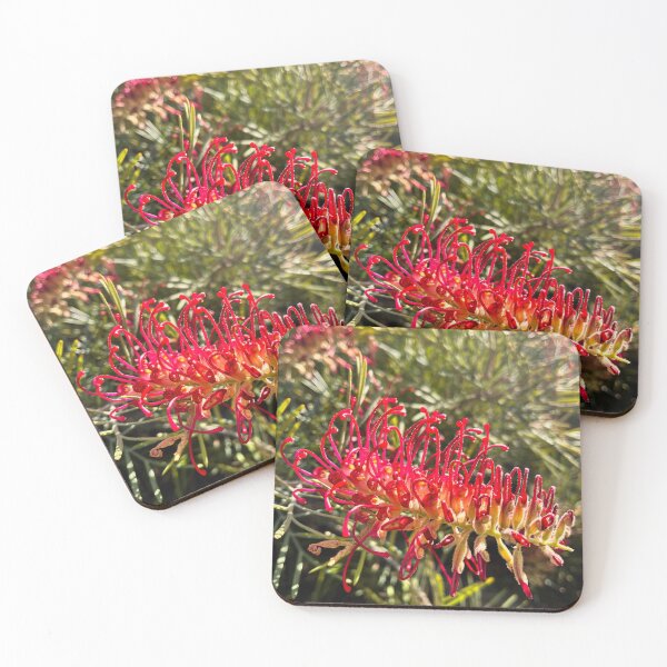 Item preview, Red Grevillea Flower Australian Native Wildflower Photography designed and sold by Be Captured by Brittany Emma.