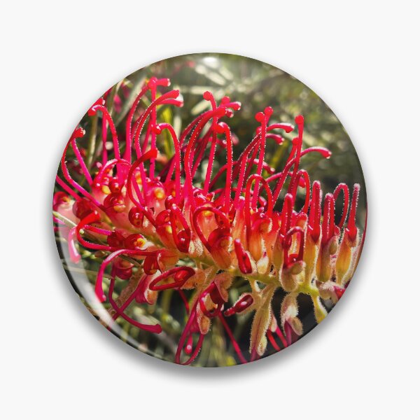 Item preview, Red Grevillea Flower Australian Native Wildflower Photography designed and sold by Be Captured by Brittany Emma.