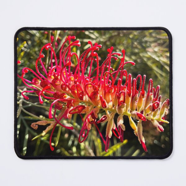 Item preview, Red Grevillea Flower Australian Native Wildflower Photography designed and sold by Be Captured by Brittany Emma.