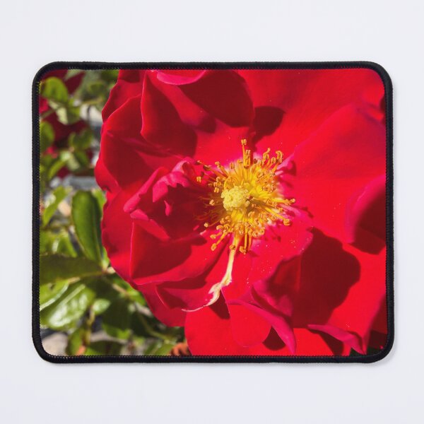 Item preview, Glowing Crimson Petals designed and sold by Betsy Phillips.