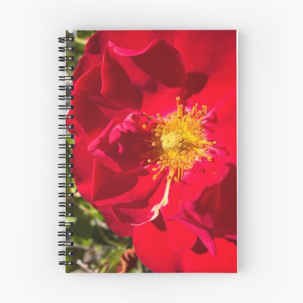 Item preview, Glowing Crimson Petals designed and sold by Betsy Phillips.