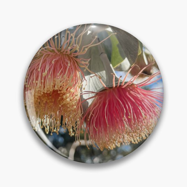 Item preview, Rose Mallee Eucalyptus Blossom Australian Native Flower Photography designed and sold by Be Captured by Brittany Emma.