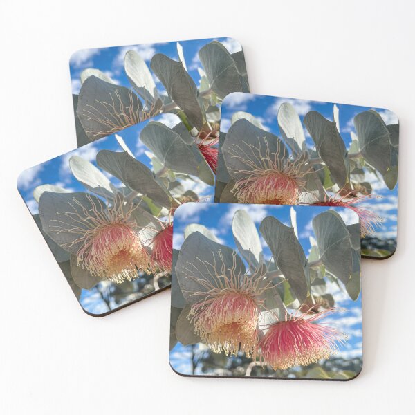 Item preview, Rose Mallee Eucalyptus Blossom Australian Native Flower Photography designed and sold by Be Captured by Brittany Emma.