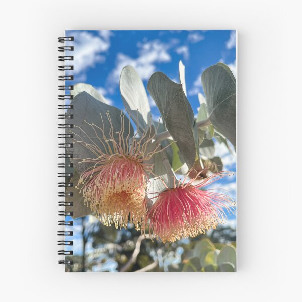 Item preview, Rose Mallee Eucalyptus Blossom Australian Native Flower Photography designed and sold by Be Captured by Brittany Emma.