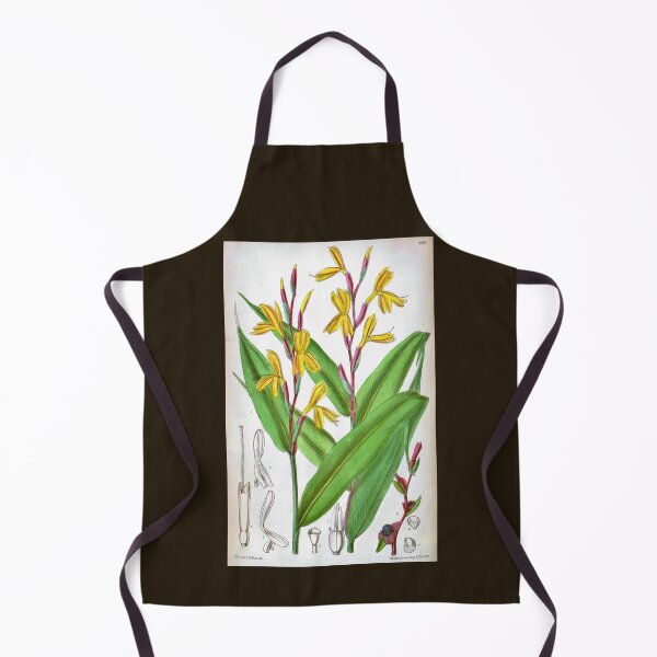 Item preview, Cautleya gracilis by Matilda Smith designed and sold by Amanda1775.