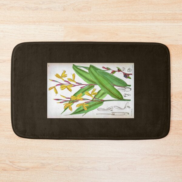Item preview, Cautleya gracilis by Matilda Smith designed and sold by Amanda1775.