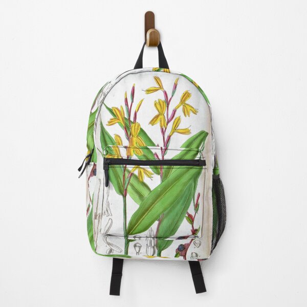 Item preview, Cautleya gracilis by Matilda Smith designed and sold by Amanda1775.