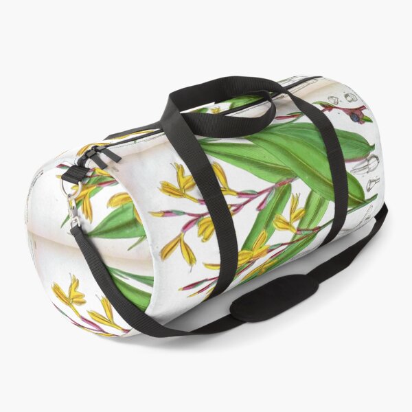 Item preview, Cautleya gracilis by Matilda Smith designed and sold by Amanda1775.