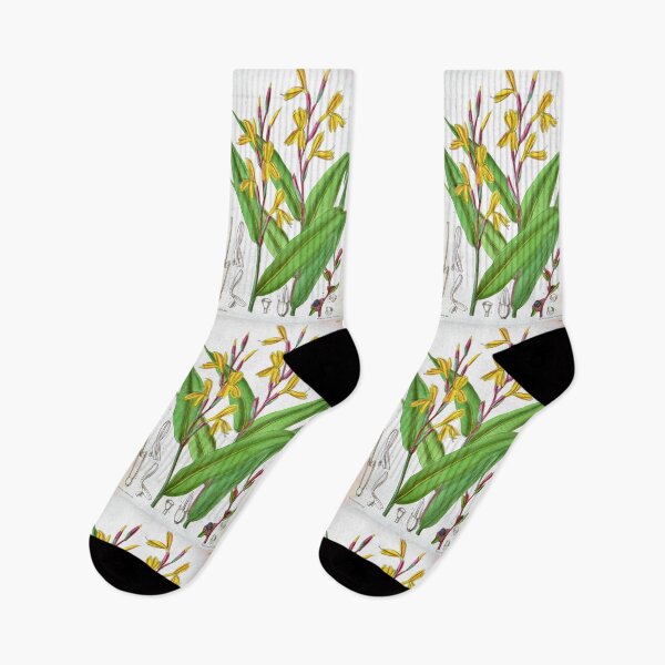 Item preview, Cautleya gracilis by Matilda Smith designed and sold by Amanda1775.