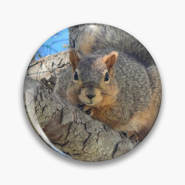 Item preview, Squirrel designed and sold by Bearbunz.