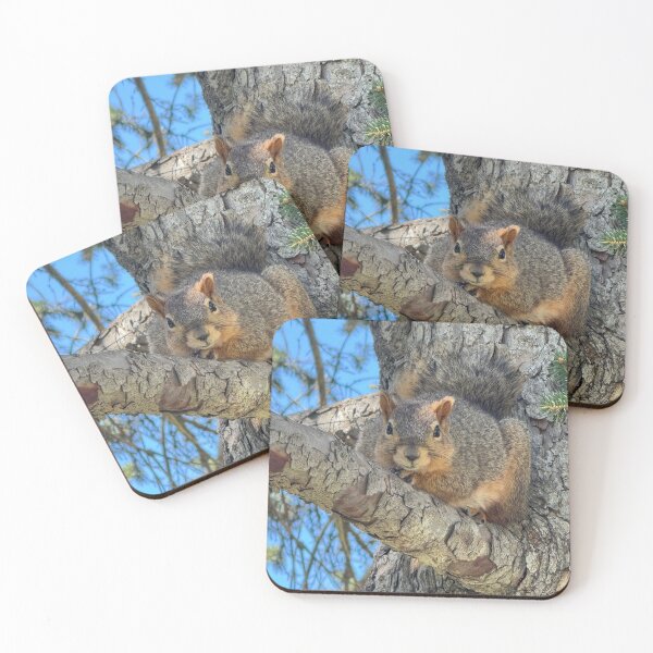 Item preview, Squirrel designed and sold by Bearbunz.