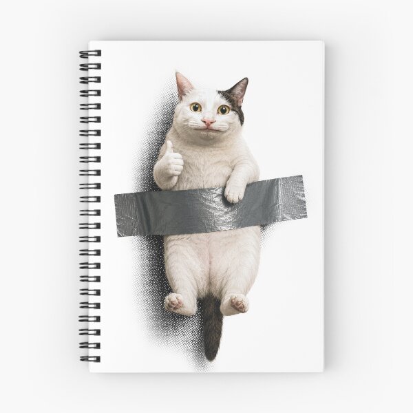 Item preview, Funny Thumbs Up Cat Taped To Wall Meme designed and sold by arfindo-indra.