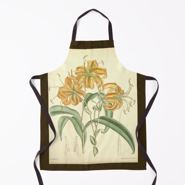 Item preview, Lilium henryi by Matilda Smith designed and sold by Amanda1775.