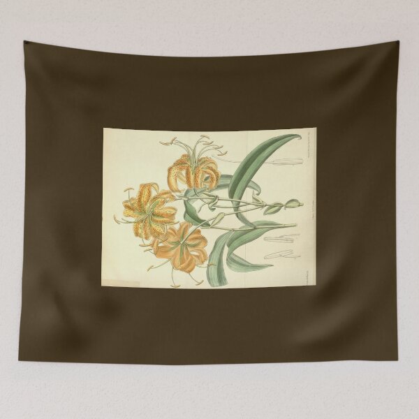 Item preview, Lilium henryi by Matilda Smith designed and sold by Amanda1775.