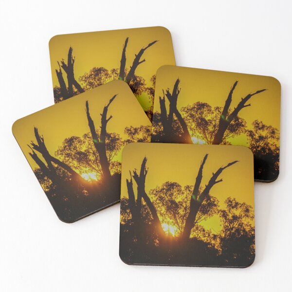 Item preview, Gum Trees at Sunset designed and sold by D-GaP.