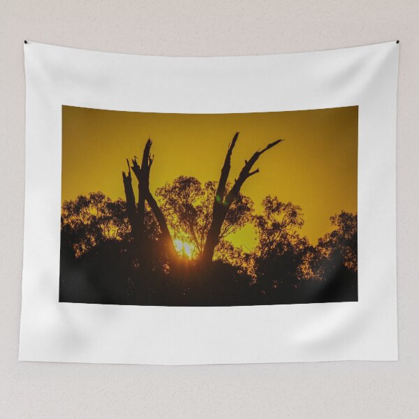 Item preview, Gum Trees at Sunset designed and sold by D-GaP.