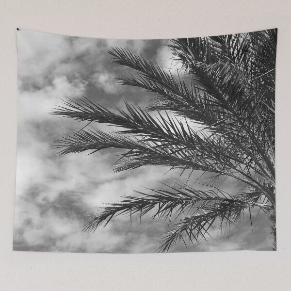 Item preview, Palm Tree Upshot In Dramatic Night Clouds Photo designed and sold by DEC02.