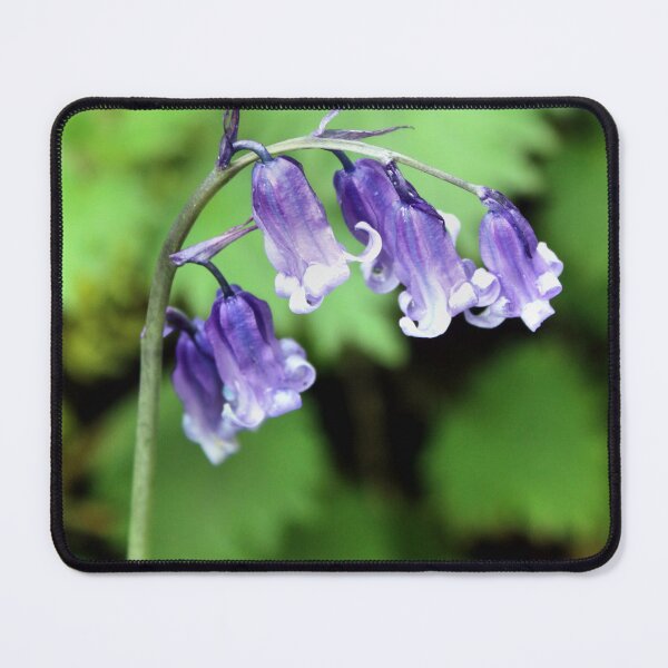 Item preview, bluebells designed and sold by KathleenDawson.