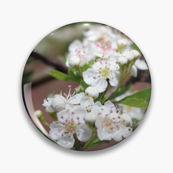 Item preview, blossom designed and sold by KathleenDawson.