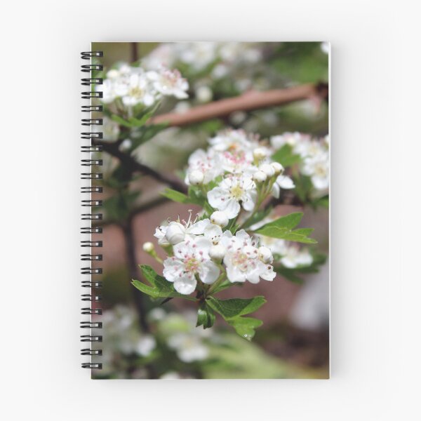 Item preview, blossom designed and sold by KathleenDawson.