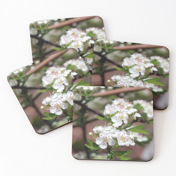 Item preview, blossom designed and sold by KathleenDawson.